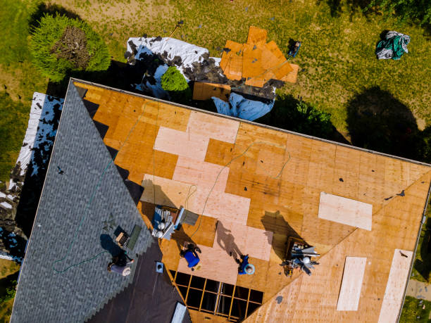 Best Roof Waterproofing Services  in Forreston, IL