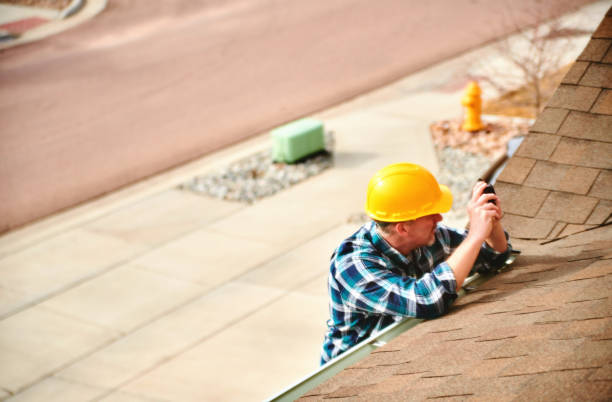 Best Storm Damage Roof Repair  in Forreston, IL