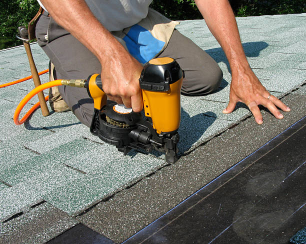 Best Roof Repair Services  in Forreston, IL