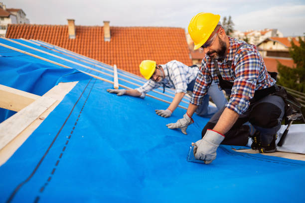 Best Slate Roofing Contractor  in Forreston, IL