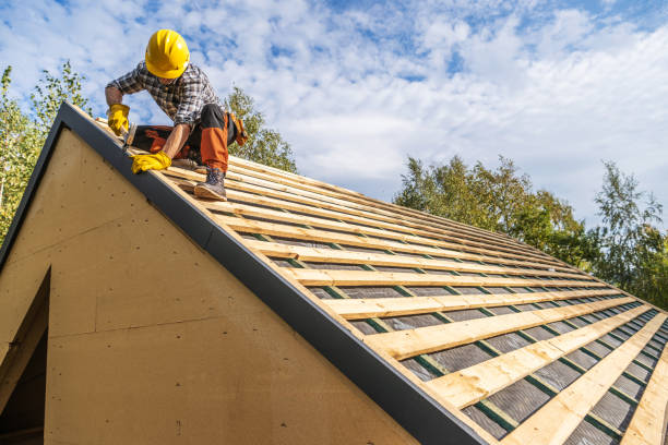 Best Affordable Roofing Company  in Forreston, IL
