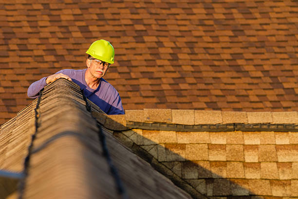 Best Flat Roof Repair Services  in Forreston, IL