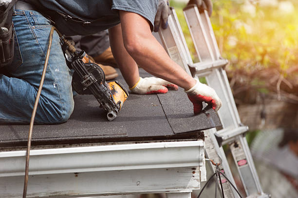 Best Roof Replacement Cost  in Forreston, IL