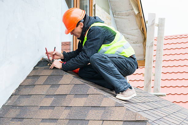 Best New Roof Installation  in Forreston, IL
