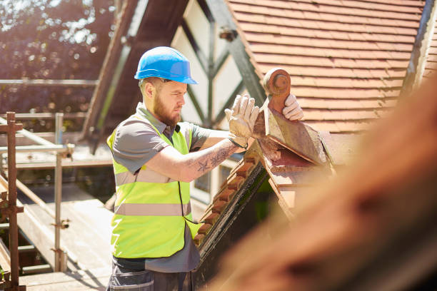 Best Residential Roofing Contractor  in Forreston, IL