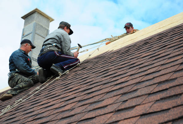 Best Roof Leak Repair  in Forreston, IL