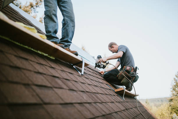 Best Metal Roofing Contractor  in Forreston, IL